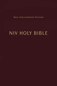 NIV, Holy Bible, Compact, Paperback, Burgundy, Comfort Print