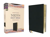 NRSVue, Holy Bible