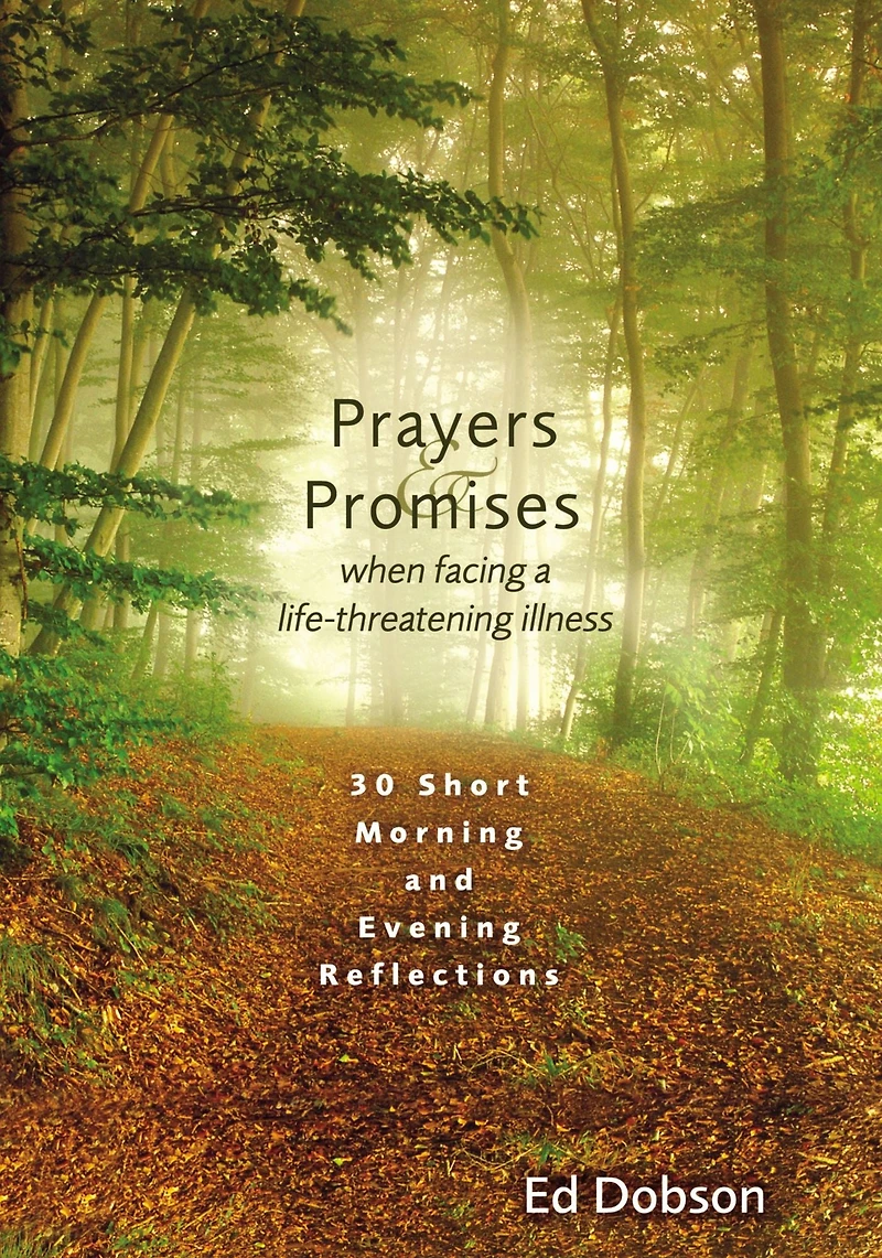 Oraciones y promesas: 30 reflexiones breves para mañana tarde