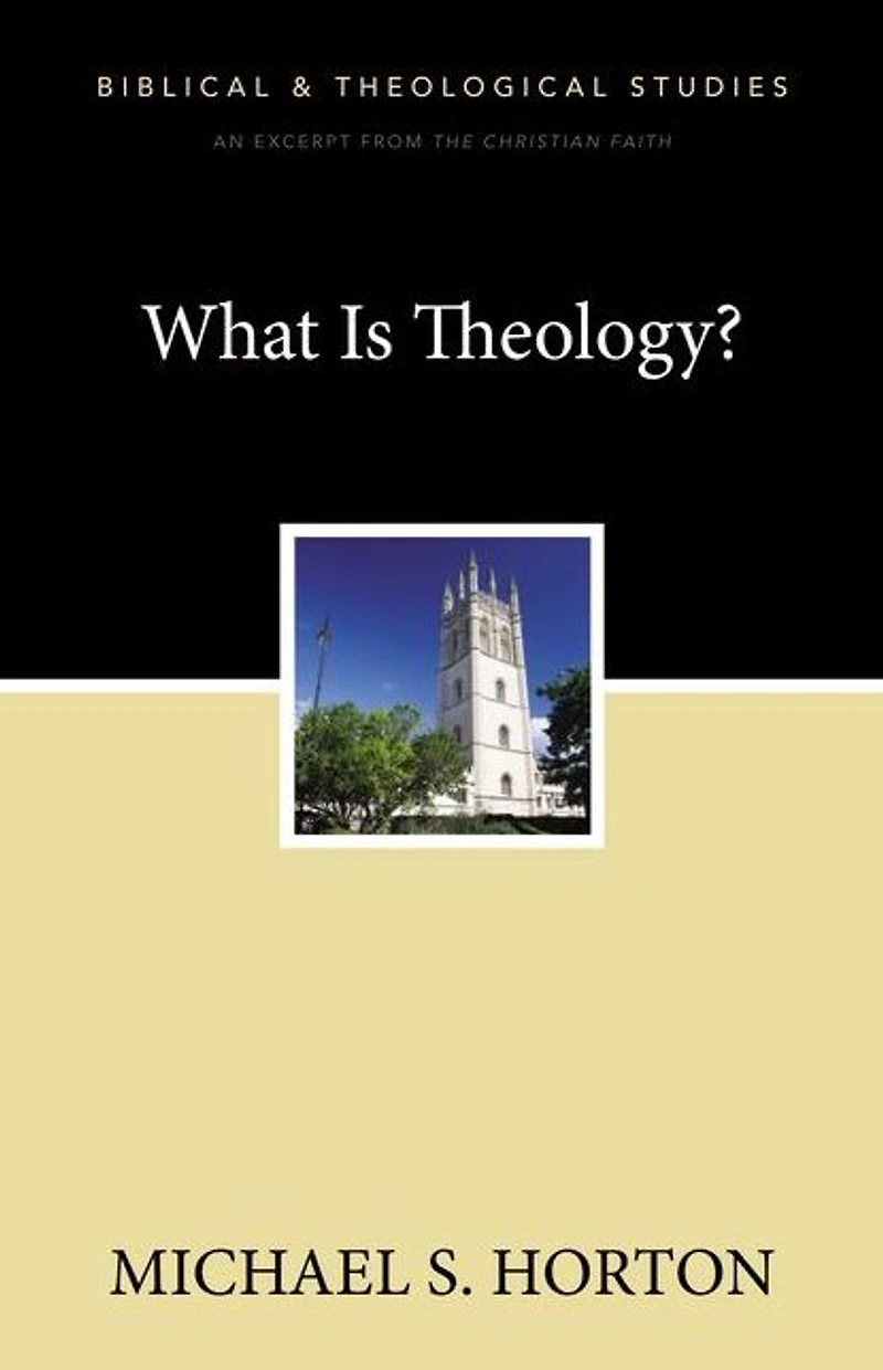 the Christian Faith: A Systematic Theology for Pilgrims on Way