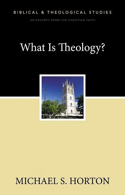 the Christian Faith: A Systematic Theology for Pilgrims on Way