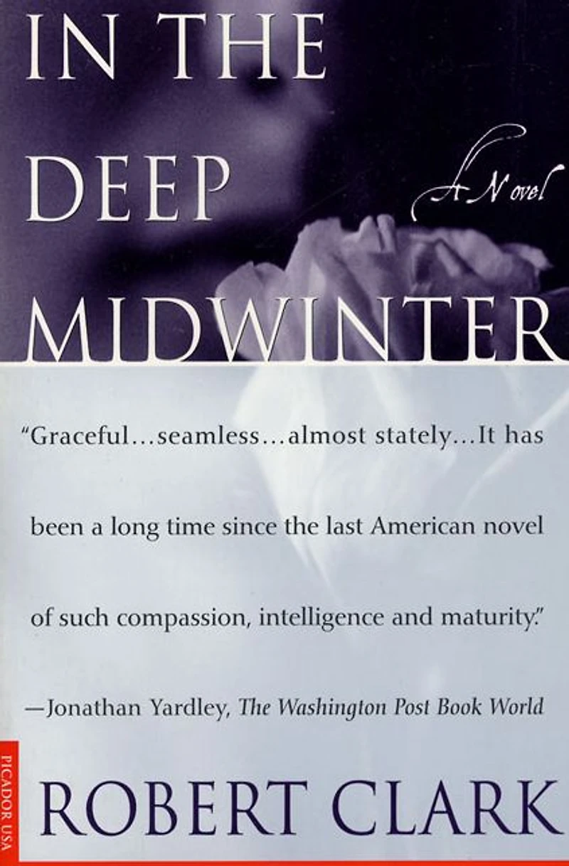 the Deep Midwinter: A Novel