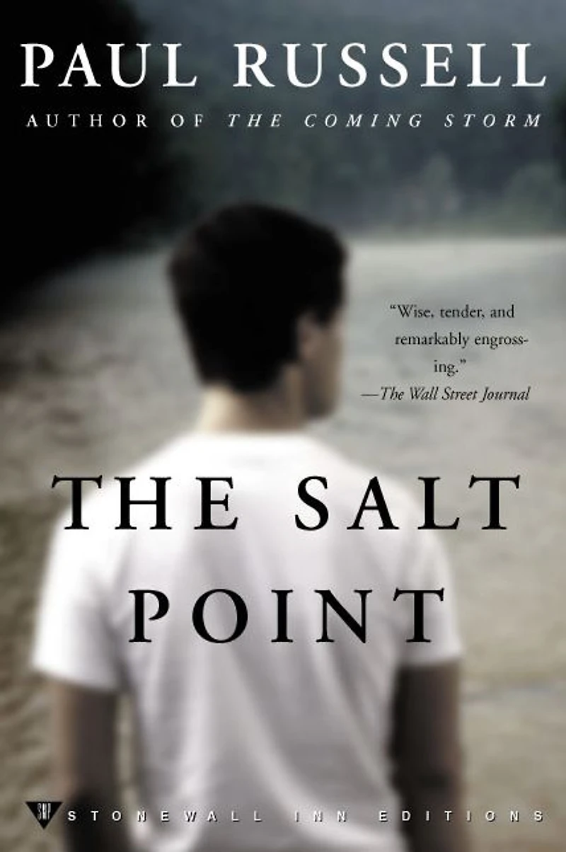 The Salt Point: A Novel
