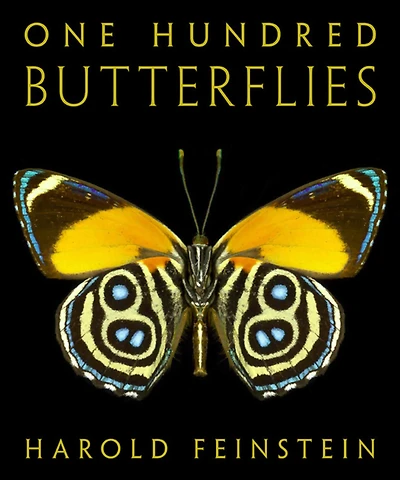 One Hundred Butterflies