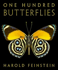 One Hundred Butterflies