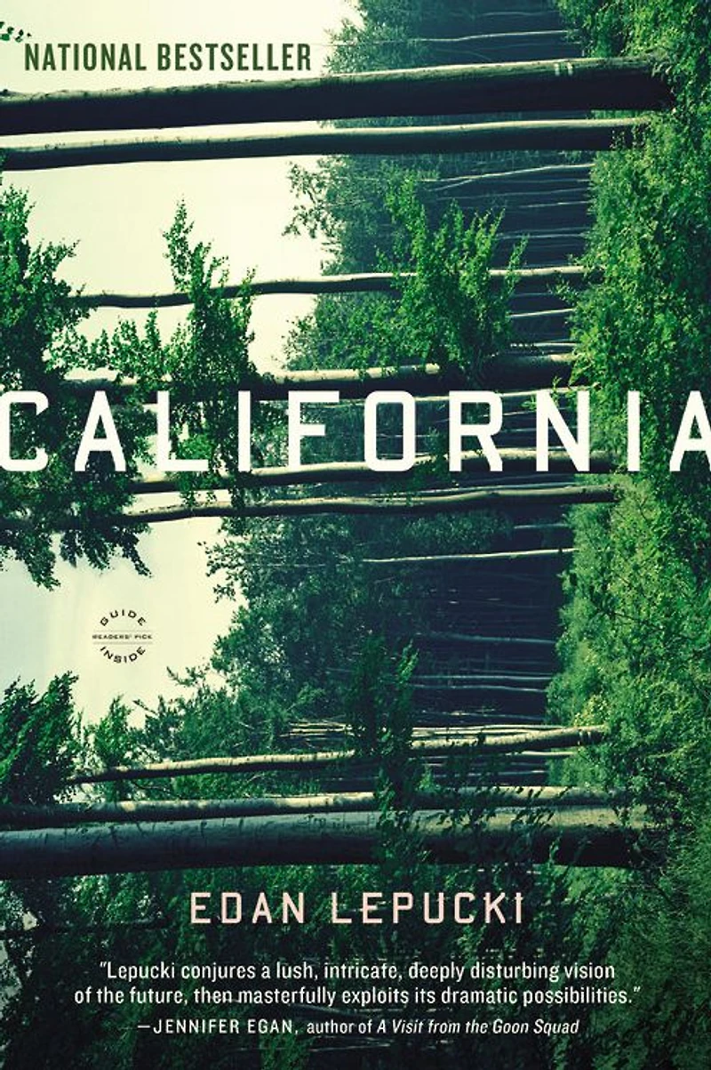 California: A Novel