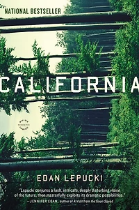 California: A Novel