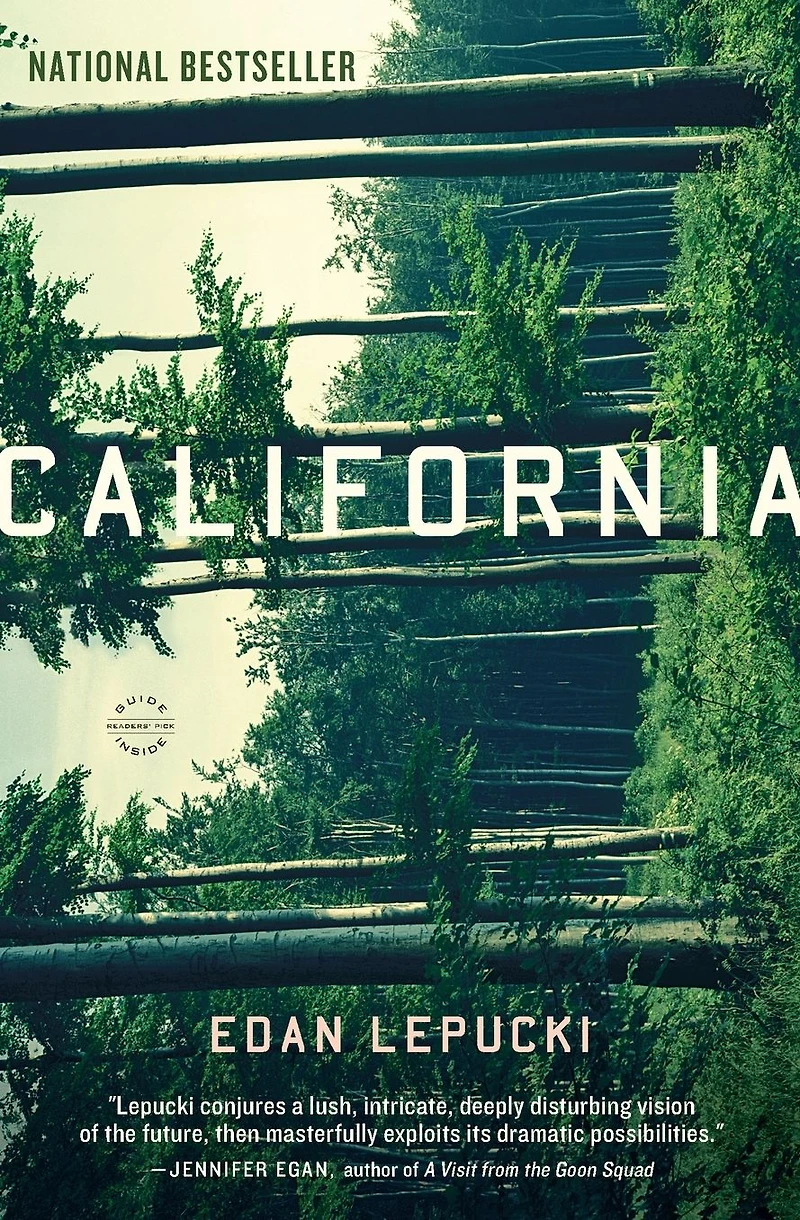 California: A Novel