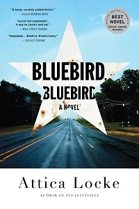 Bluebird, Bluebird