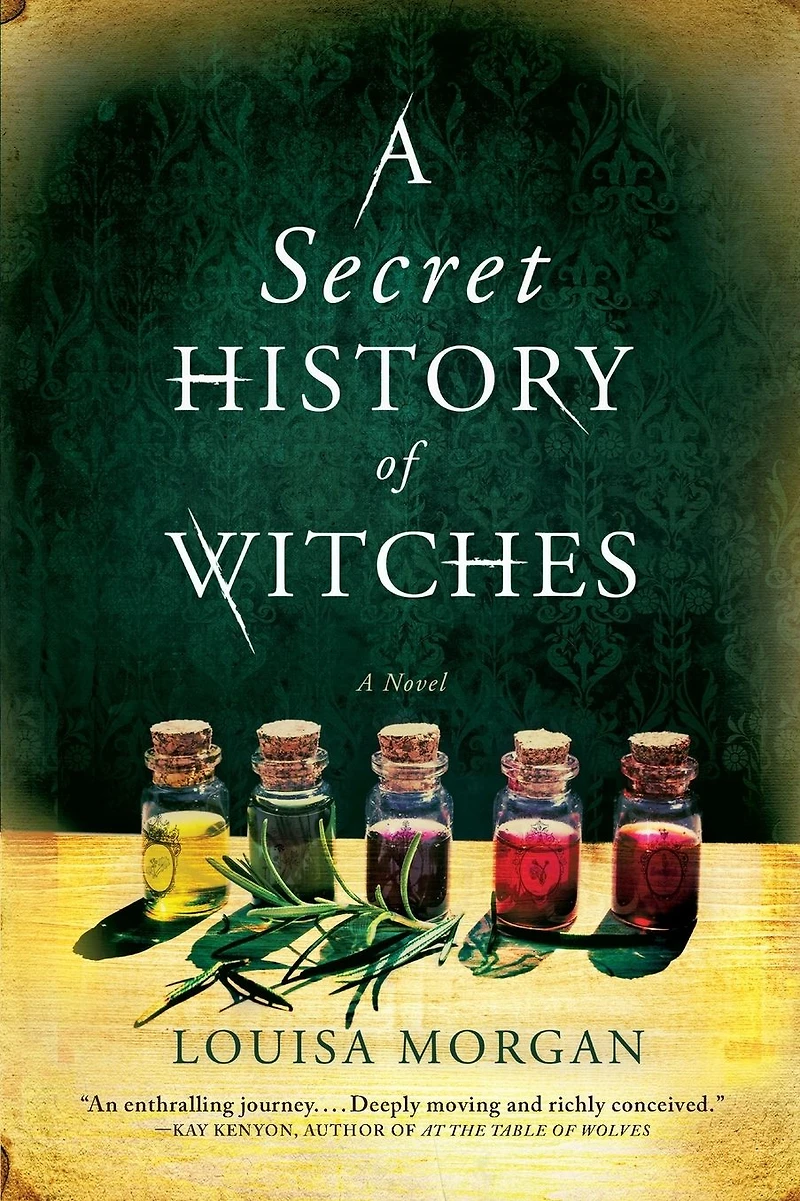 A Secret History of Witches: Novel