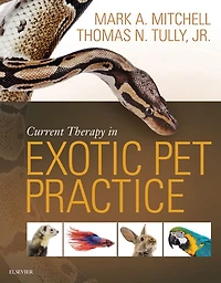 Current Therapy in Exotic Pet Practice