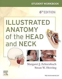 Student Workbook for Illustrated Anatomy of the Head and Neck
