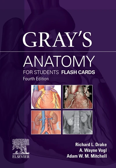 Gray's Anatomy for Students Flash Cards E-Book: Gray's Anatomy for Students Flash Cards E-Book