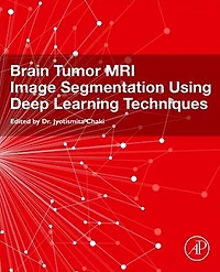 Brain Tumor MRI Image Segmentation Using Deep Learning Techniques