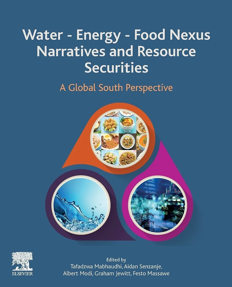 Water - Energy Food Nexus Narratives and Resource Securities: A Global South Perspective