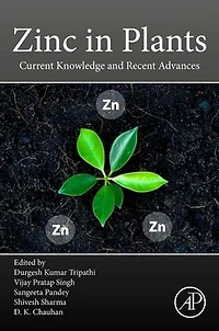 Zinc Plants: Current Knowledge and Recent Advances
