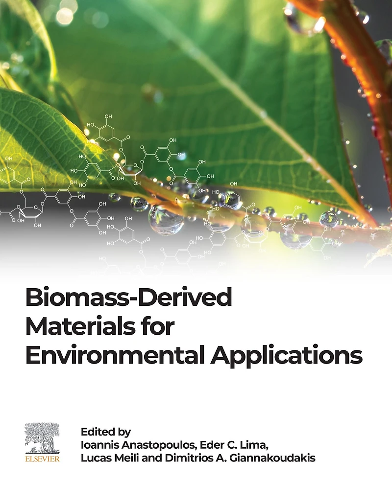 Biomass-Derived Materials for Environmental Applications