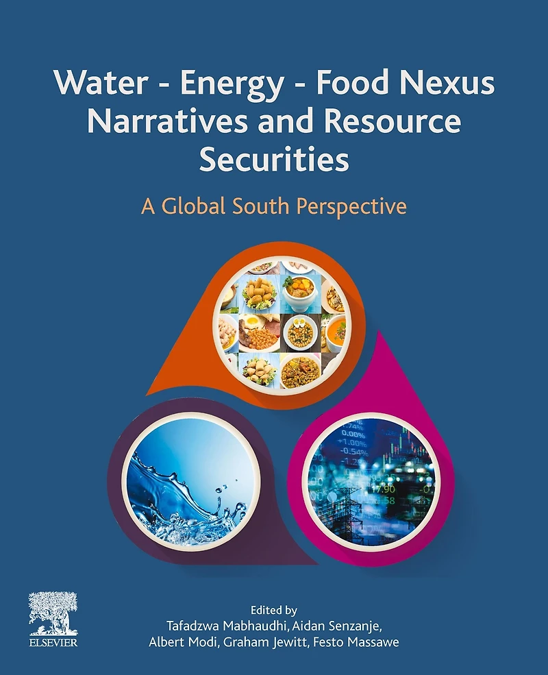 Water - Energy Food Nexus Narratives and Resource Securities: A Global South Perspective