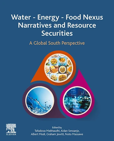 Water - Energy Food Nexus Narratives and Resource Securities: A Global South Perspective