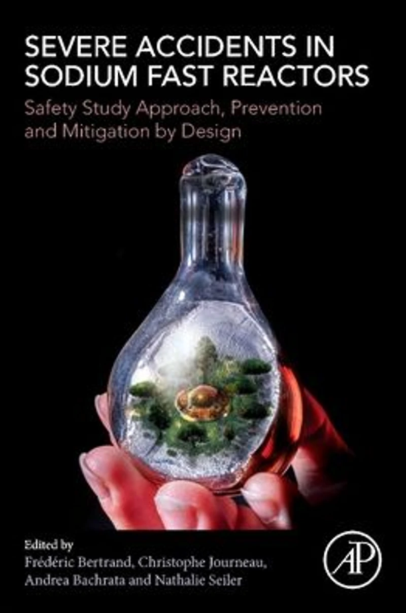 Severe Accidents Sodium Fast Reactors: Safety Study Approach, Prevention and Mitigation by Design
