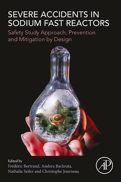 Severe Accidents Sodium Fast Reactors: Safety Study Approach, Prevention and Mitigation by Design