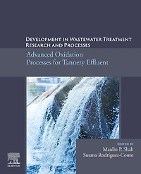 Development Wastewater Treatment Research and Processes: Advanced Oxidation Processes for Tannery Effluent