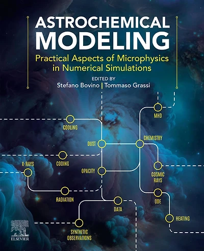 Astrochemical Modeling: Practical Aspects of Microphysics Numerical Simulations