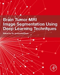 Brain Tumor MRI Image Segmentation Using Deep Learning Techniques
