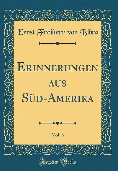 Erinnerungen aus Süd-Amerika, Vol. 3 (Classic Reprint)