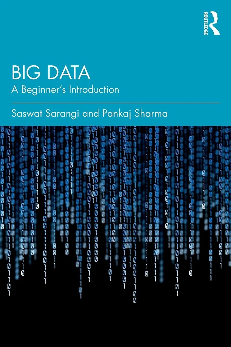 Big Data: A Beginner's Introduction