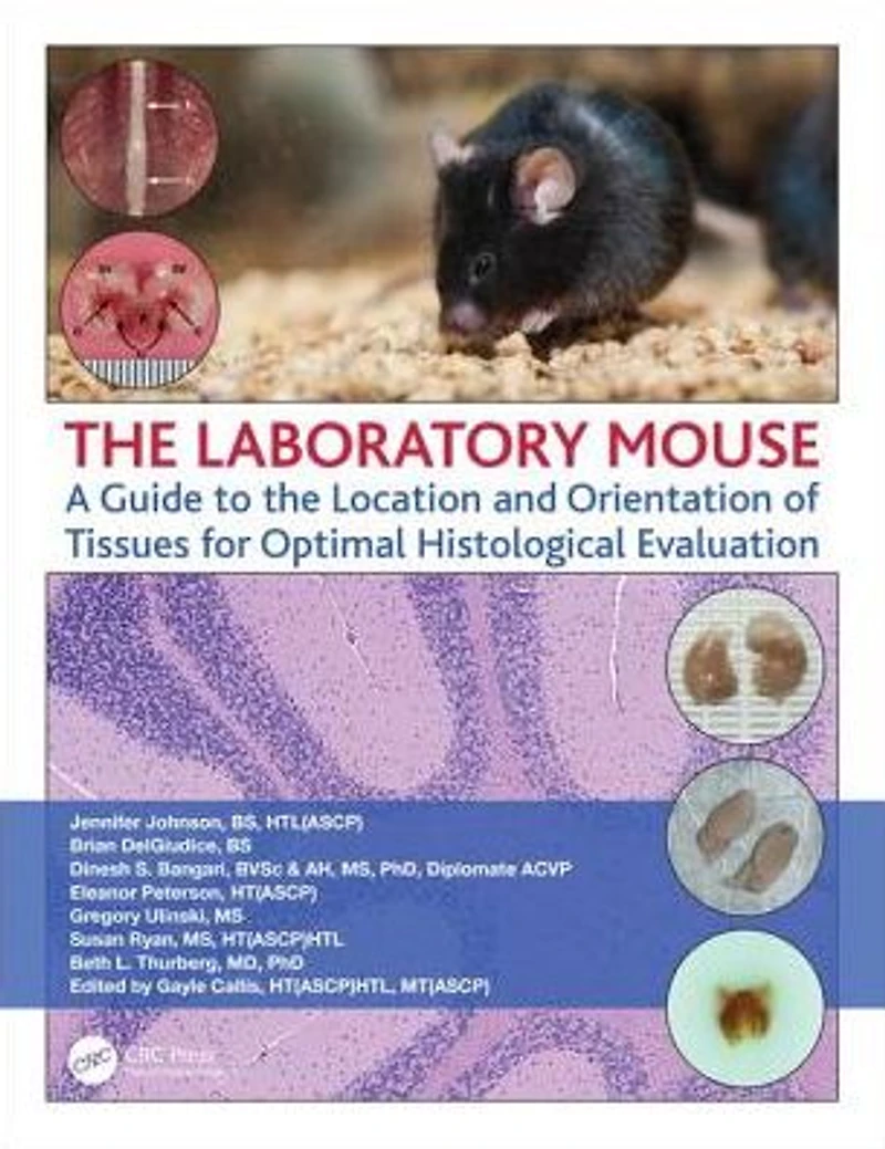 the Laboratory Mouse: A Guide to Location and Orientation of Tissues for Optimal Histological Evaluation