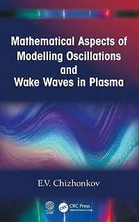 Mathematical Aspects of Modelling Oscillations and Wake Waves Plasma