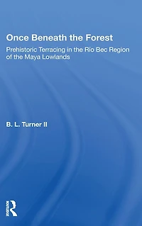 Once Beneath The Forest: Prehistoric Terracing Rio Bec Region Of Maya Lowlands