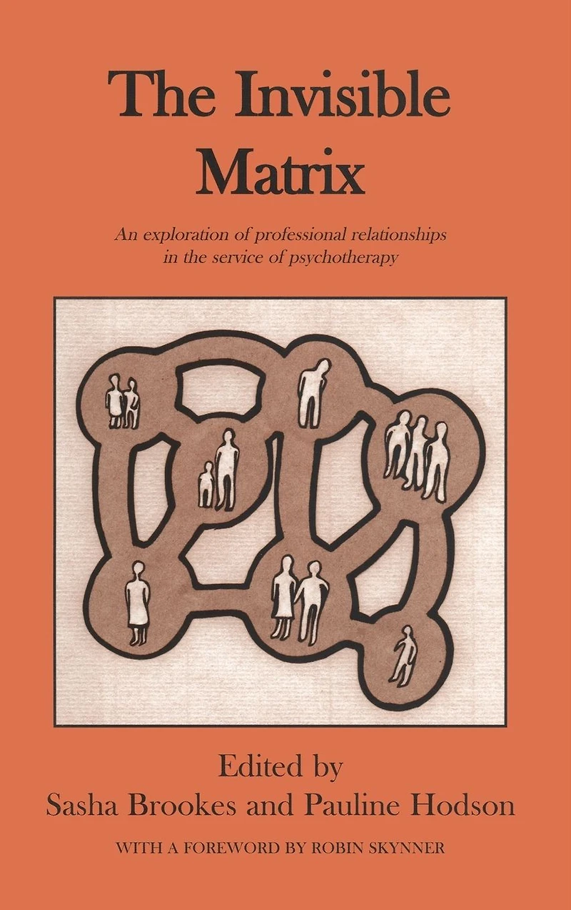 the Invisible Matrix: An Exploration of Professional Relationships Service Psychotherapy