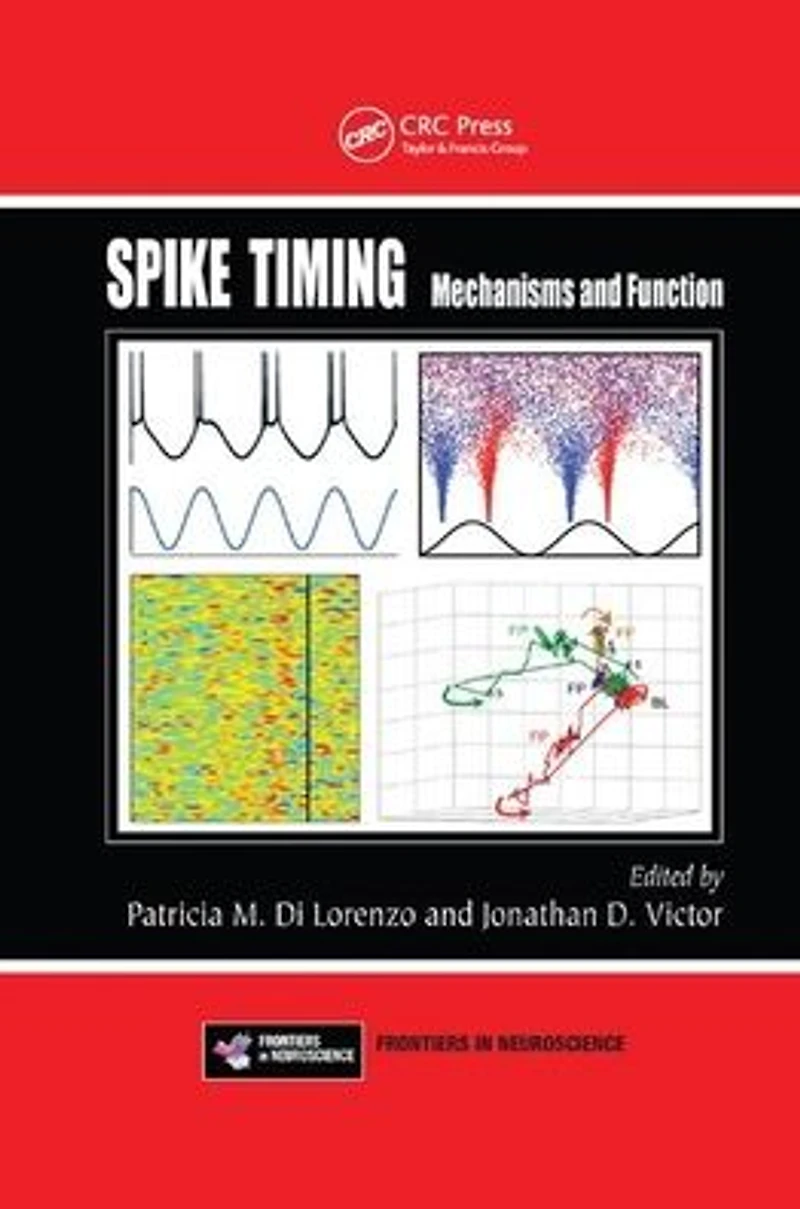 Spike Timing: Mechanisms and Function