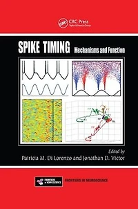Spike Timing: Mechanisms and Function