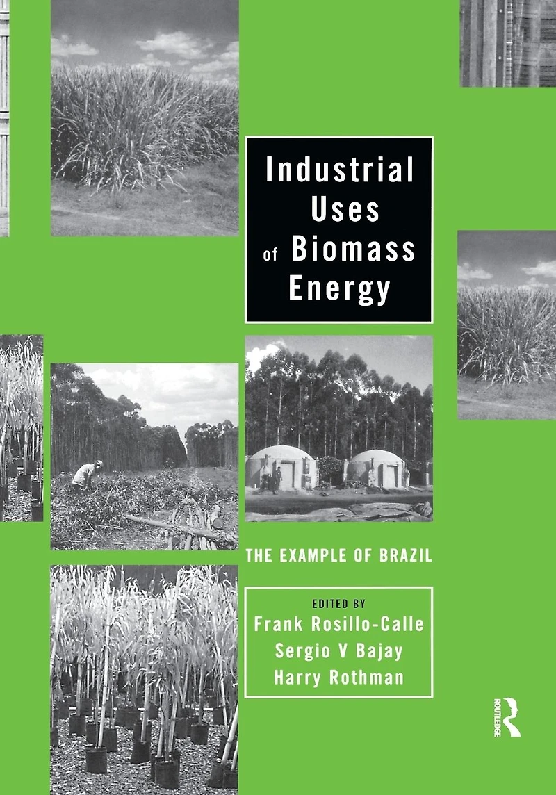 Industrial Uses of Biomass Energy: The Example Brazil