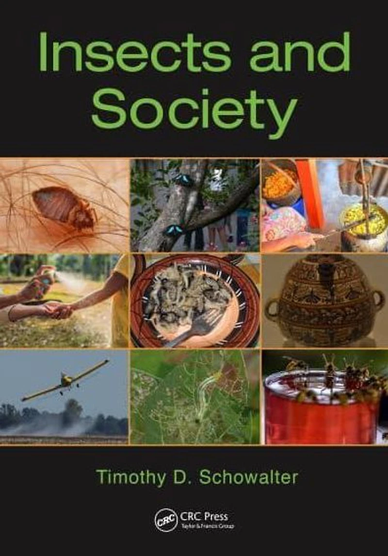 Insects and Society