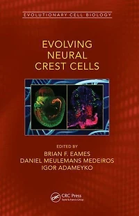 Evolving Neural Crest Cells