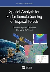 Spatial Analysis for Radar Remote Sensing of Tropical Forests