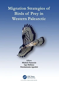 Migration Strategies of Birds Prey Western Palearctic