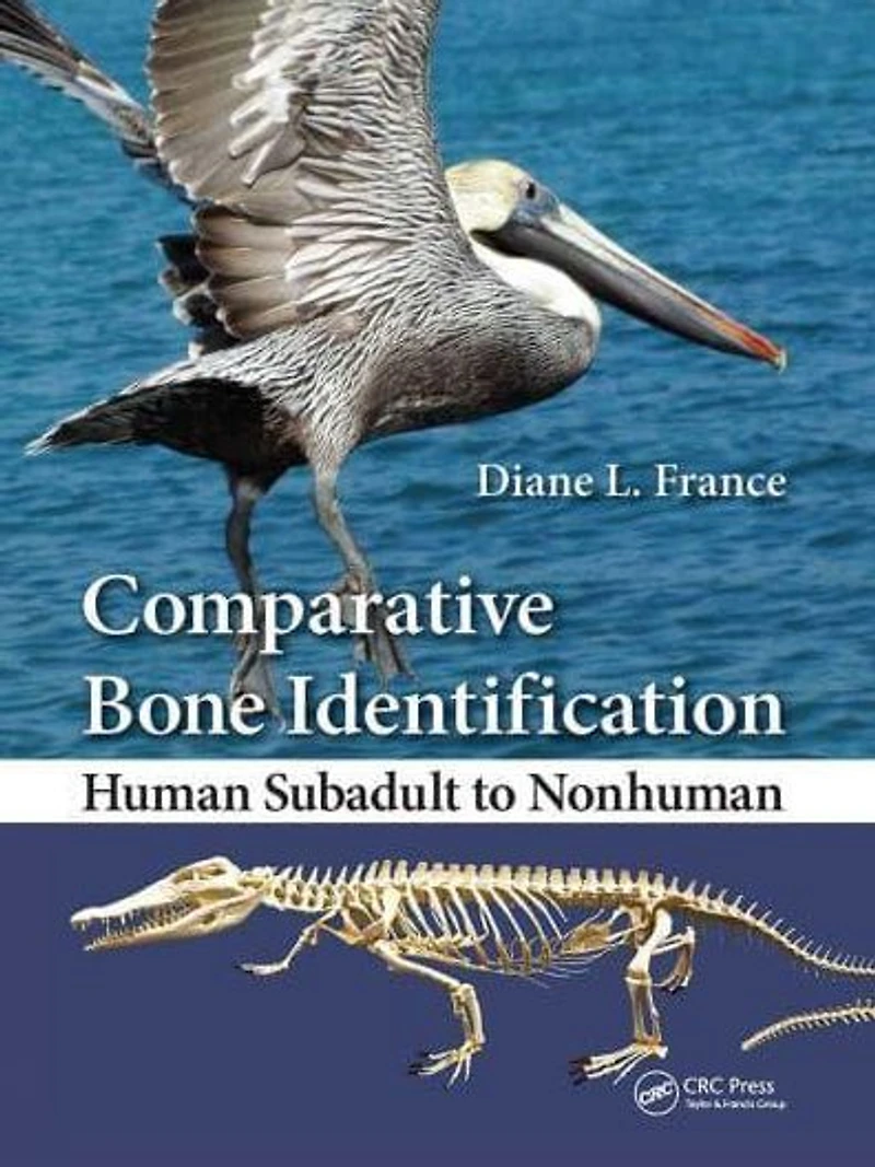Comparative Bone Identification: Human Subadult to Nonhuman