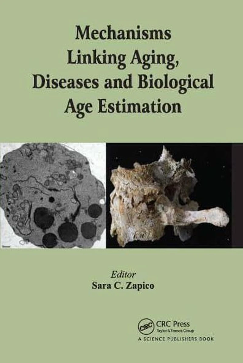 Mechanisms Linking Aging, Diseases and Biological Age Estimation