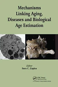 Mechanisms Linking Aging, Diseases and Biological Age Estimation