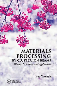 Materials Processing by Cluster Ion Beams: History, Technology, and Applications