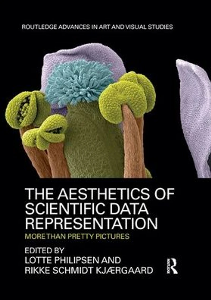 The Aesthetics of Scientific Data Representation: More than Pretty Pictures