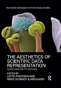The Aesthetics of Scientific Data Representation: More than Pretty Pictures
