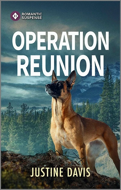 Operation Reunion: A Murder Mystery Book