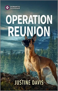 Operation Reunion: A Murder Mystery Book