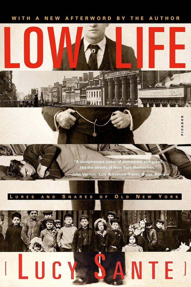 Low Life: Lures and Snares of Old New York